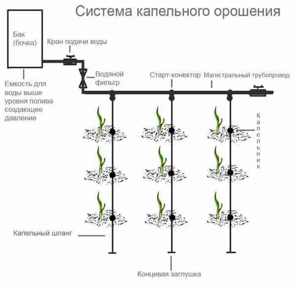 Автополив газона оборудование схема своими руками