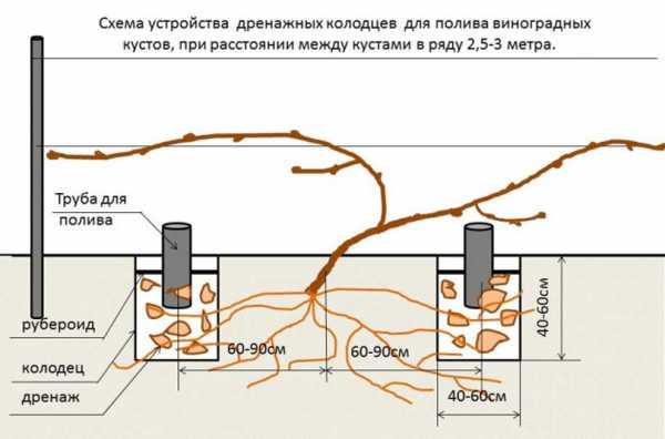 Автополив своими руками для газона схема